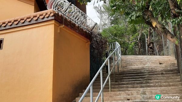 【慈雲山至畢架山花園行山篇】天梯石、獅尾脊、獅子山，筆架山觀景台
