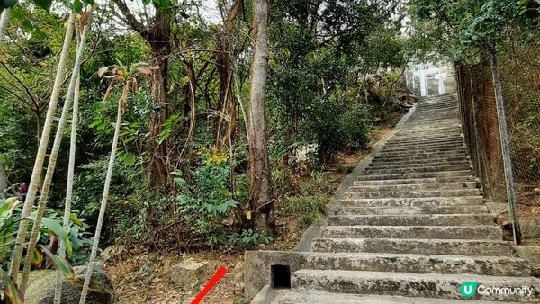 【慈雲山至畢架山花園行山篇】天梯石、獅尾脊、獅子山，筆架山觀景台