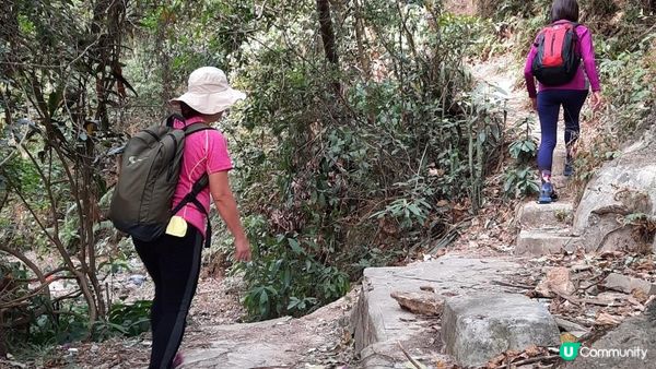 【慈雲山至畢架山花園行山篇】天梯石、獅尾脊、獅子山，筆架山觀景台