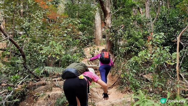【慈雲山至畢架山花園行山篇】天梯石、獅尾脊、獅子山，筆架山觀景台