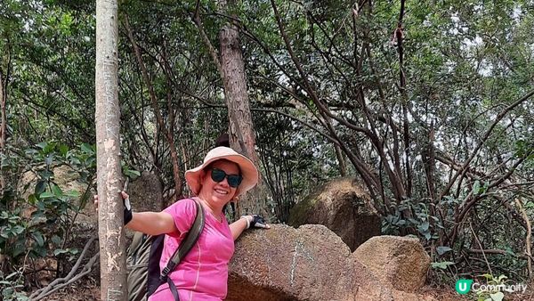 【慈雲山至畢架山花園行山篇】天梯石、獅尾脊、獅子山，筆架山觀景台