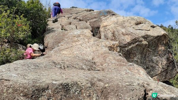 【慈雲山至畢架山花園行山篇】天梯石、獅尾脊、獅子山，筆架山觀景台