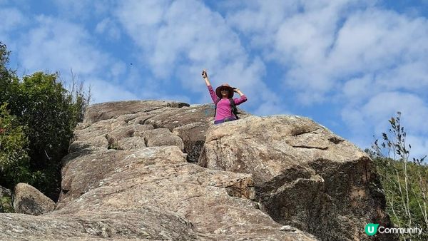 【慈雲山至畢架山花園行山篇】天梯石、獅尾脊、獅子山，筆架山觀景台