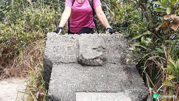 【慈雲山至畢架山花園行山篇】天梯石、獅尾脊、獅子山，筆架山觀景台