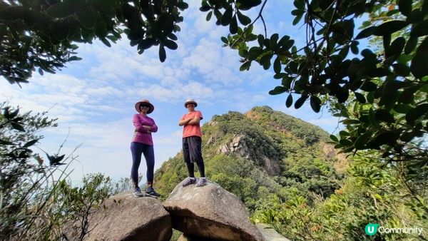 【慈雲山至畢架山花園行山篇】天梯石、獅尾脊、獅子山，筆架山觀景台