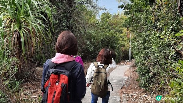 【石澳土地灣至筲箕灣行山篇】土地灣機槍堡、無字石碑、石碑山、猛鬼橋、西灣山