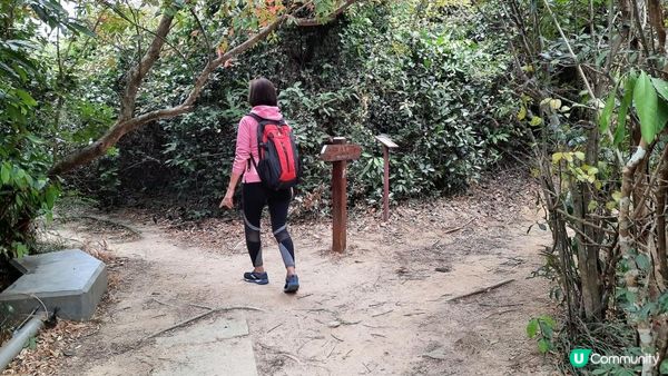 【石澳土地灣至筲箕灣行山篇】土地灣機槍堡、無字石碑、石碑山、猛鬼橋、西灣山