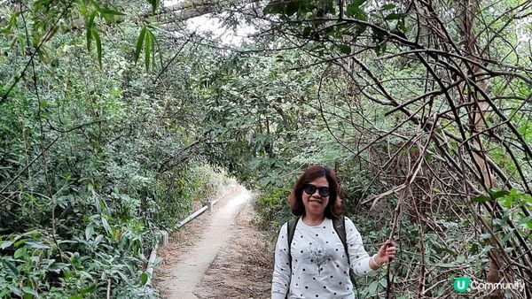 【石澳土地灣至筲箕灣行山篇】土地灣機槍堡、無字石碑、石碑山、猛鬼橋、西灣山