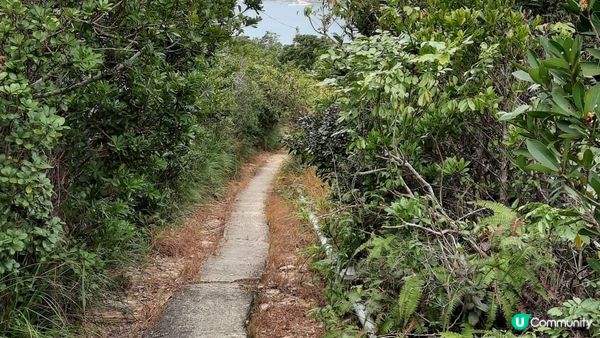 【石澳土地灣至筲箕灣行山篇】土地灣機槍堡、無字石碑、石碑山、猛鬼橋、西灣山