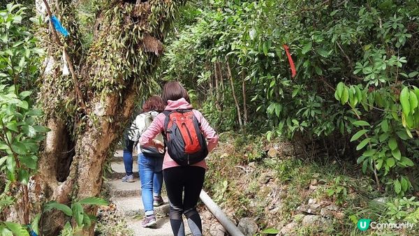 【石澳土地灣至筲箕灣行山篇】土地灣機槍堡、無字石碑、石碑山、猛鬼橋、西灣山