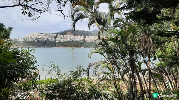 【石澳土地灣至筲箕灣行山篇】土地灣機槍堡、無字石碑、石碑山、猛鬼橋、西灣山