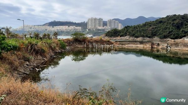 【石澳土地灣至筲箕灣行山篇】土地灣機槍堡、無字石碑、石碑山、猛鬼橋、西灣山