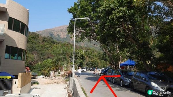 【大埔山寮路至流水響行山篇】八仙嶺純陽峰、黃嶺、鶴藪水塘、流水響水塘