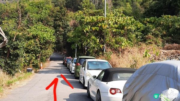 【大埔山寮路至流水響行山篇】八仙嶺純陽峰、黃嶺、鶴藪水塘、流水響水塘