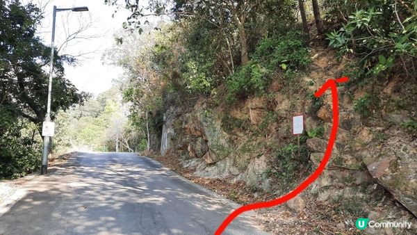 【大埔山寮路至流水響行山篇】八仙嶺純陽峰、黃嶺、鶴藪水塘、流水響水塘