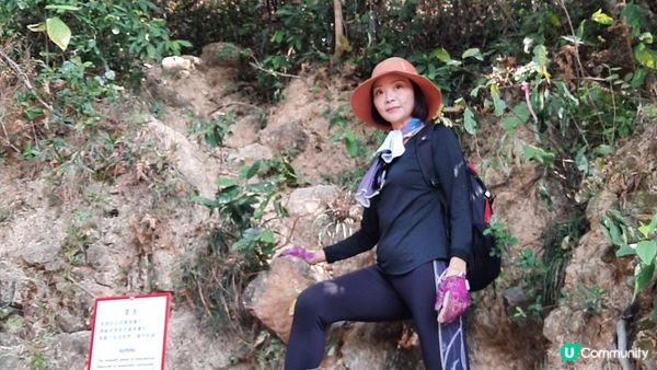 【大埔山寮路至流水響行山篇】八仙嶺純陽峰、黃嶺、鶴藪水塘、流水響水塘