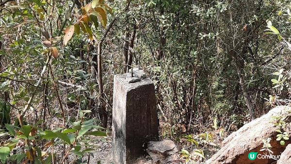 【大埔山寮路至流水響行山篇】八仙嶺純陽峰、黃嶺、鶴藪水塘、流水響水塘