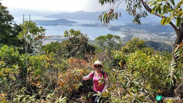 【大埔山寮路至流水響行山篇】八仙嶺純陽峰、黃嶺、鶴藪水塘、流水響水塘
