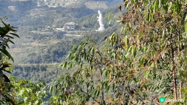 【大埔山寮路至流水響行山篇】八仙嶺純陽峰、黃嶺、鶴藪水塘、流水響水塘