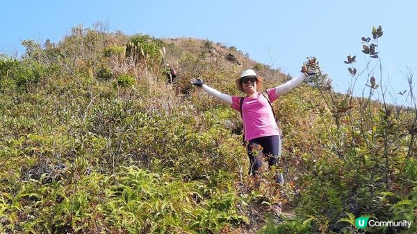 【大埔山寮路至流水響行山篇】八仙嶺純陽峰、黃嶺、鶴藪水塘、流水響水塘