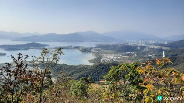 【大埔山寮路至流水響行山篇】八仙嶺純陽峰、黃嶺、鶴藪水塘、流水響水塘