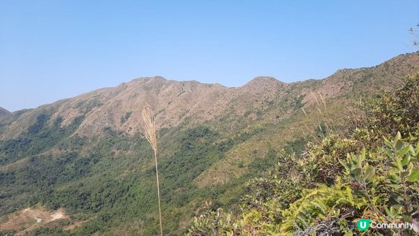 【大埔山寮路至流水響行山篇】八仙嶺純陽峰、黃嶺、鶴藪水塘、流水響水塘