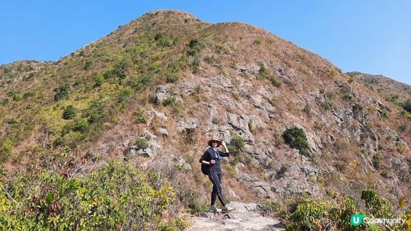 【大埔山寮路至流水響行山篇】八仙嶺純陽峰、黃嶺、鶴藪水塘、流水響水塘