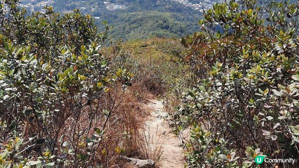 【大埔山寮路至流水響行山篇】八仙嶺純陽峰、黃嶺、鶴藪水塘、流水響水塘