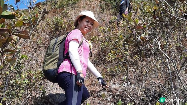 【大埔山寮路至流水響行山篇】八仙嶺純陽峰、黃嶺、鶴藪水塘、流水響水塘