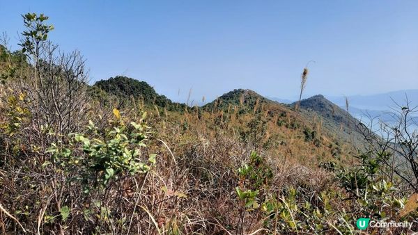 【大埔山寮路至流水響行山篇】八仙嶺純陽峰、黃嶺、鶴藪水塘、流水響水塘