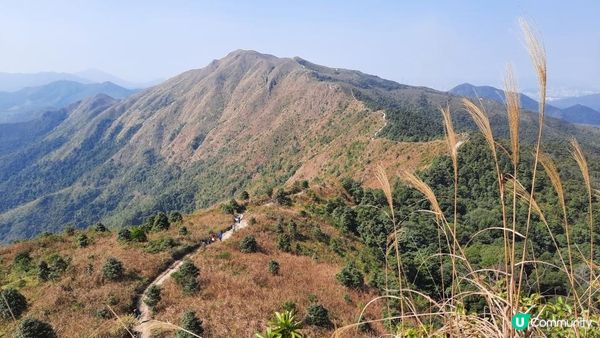 【大埔山寮路至流水響行山篇】八仙嶺純陽峰、黃嶺、鶴藪水塘、流水響水塘