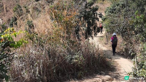 【大埔山寮路至流水響行山篇】八仙嶺純陽峰、黃嶺、鶴藪水塘、流水響水塘