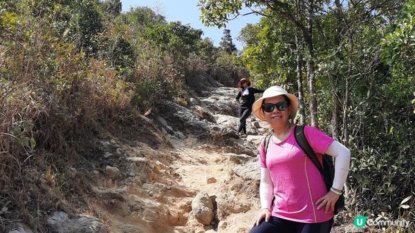 【大埔山寮路至流水響行山篇】八仙嶺純陽峰、黃嶺、鶴藪水塘、流水響水塘