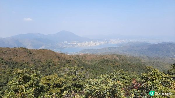 【大埔山寮路至流水響行山篇】八仙嶺純陽峰、黃嶺、鶴藪水塘、流水響水塘
