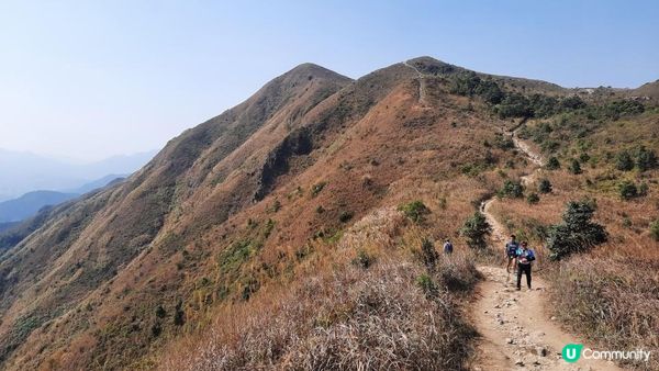 【大埔山寮路至流水響行山篇】八仙嶺純陽峰、黃嶺、鶴藪水塘、流水響水塘