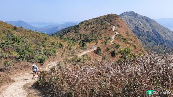 【大埔山寮路至流水響行山篇】八仙嶺純陽峰、黃嶺、鶴藪水塘、流水響水塘