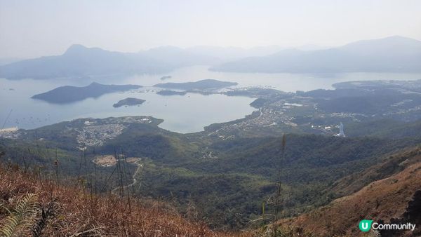 【大埔山寮路至流水響行山篇】八仙嶺純陽峰、黃嶺、鶴藪水塘、流水響水塘