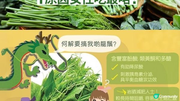 #龍鬚菜沒有龍 🐉 補鈣 x 助增高 x 防老人癡呆