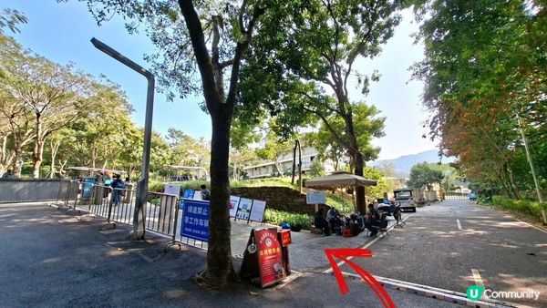 【深圳光明區打卡篇】大頂嶺綠道的浮橋、探橋、懸橋及虹橋公園