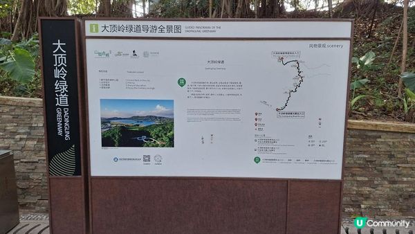 【深圳光明區打卡篇】大頂嶺綠道的浮橋、探橋、懸橋及虹橋公園
