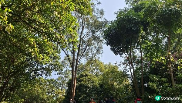 【深圳光明區打卡篇】大頂嶺綠道的浮橋、探橋、懸橋及虹橋公園