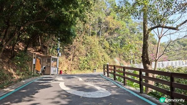 【深圳光明區打卡篇】大頂嶺綠道的浮橋、探橋、懸橋及虹橋公園