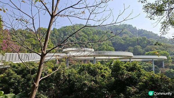 【深圳光明區打卡篇】大頂嶺綠道的浮橋、探橋、懸橋及虹橋公園