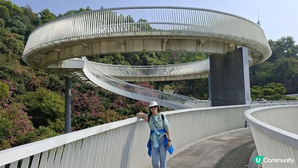 【深圳光明區打卡篇】大頂嶺綠道的浮橋、探橋、懸橋及虹橋公園