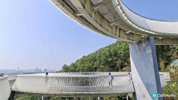【深圳光明區打卡篇】大頂嶺綠道的浮橋、探橋、懸橋及虹橋公園