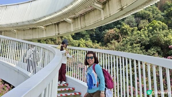 【深圳光明區打卡篇】大頂嶺綠道的浮橋、探橋、懸橋及虹橋公園