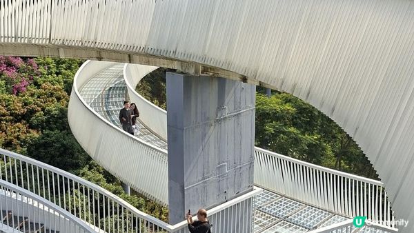 【深圳光明區打卡篇】大頂嶺綠道的浮橋、探橋、懸橋及虹橋公園