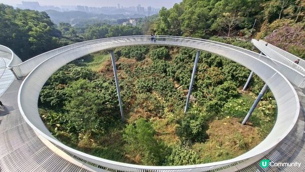 【深圳光明區打卡篇】大頂嶺綠道的浮橋、探橋、懸橋及虹橋公園
