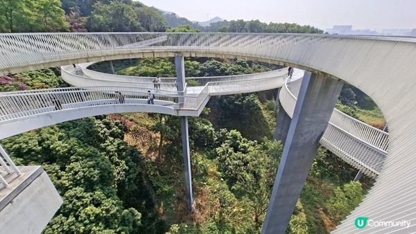 【深圳光明區打卡篇】大頂嶺綠道的浮橋、探橋、懸橋及虹橋公園