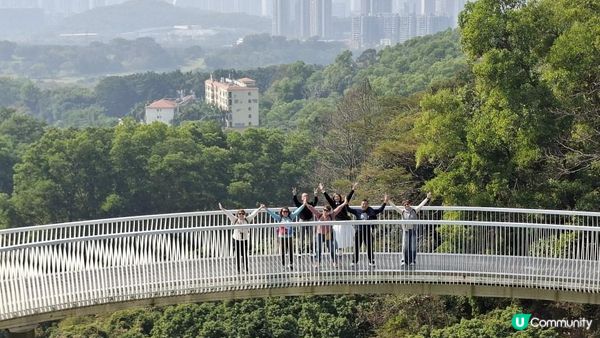 【深圳光明區打卡篇】大頂嶺綠道的浮橋、探橋、懸橋及虹橋公園